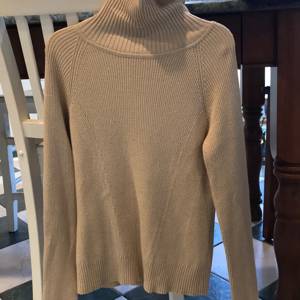 Ralsey Brand Ladies sparkling sweater turtlenecks
